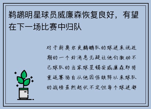 鹈鹕明星球员威廉森恢复良好，有望在下一场比赛中归队
